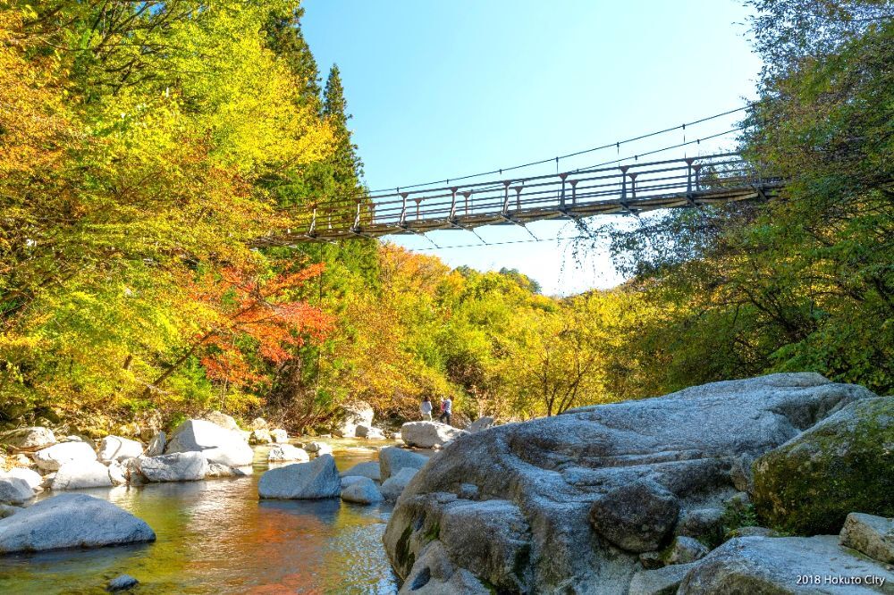 清流と豊かな森を楽しむアルプスの森でリフレッシュ
山梨県北杜市（ほくと）